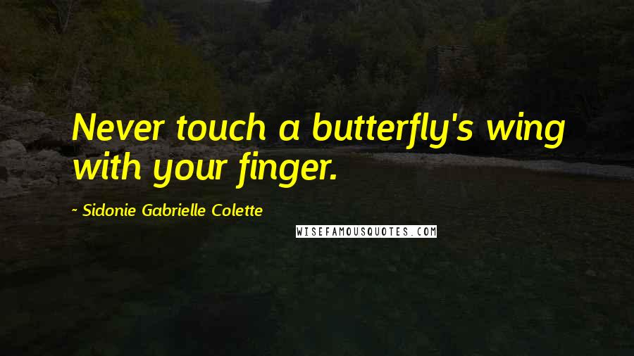 Sidonie Gabrielle Colette Quotes: Never touch a butterfly's wing with your finger.