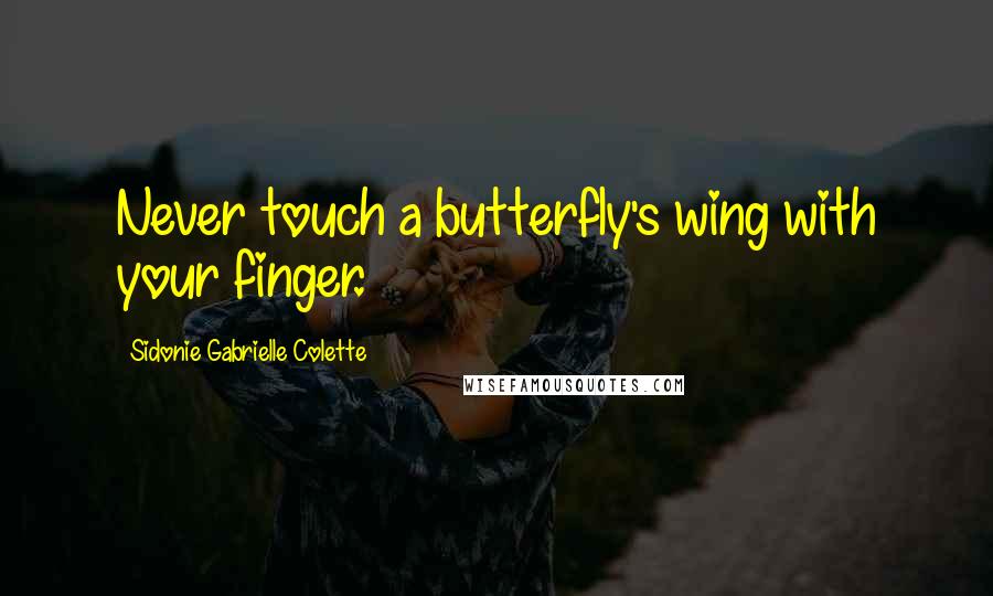 Sidonie Gabrielle Colette Quotes: Never touch a butterfly's wing with your finger.