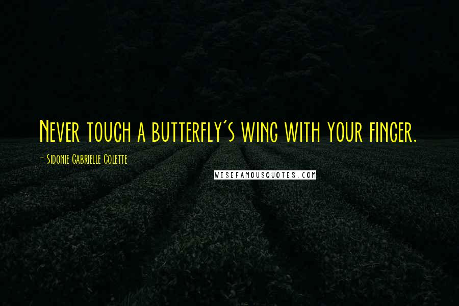 Sidonie Gabrielle Colette Quotes: Never touch a butterfly's wing with your finger.