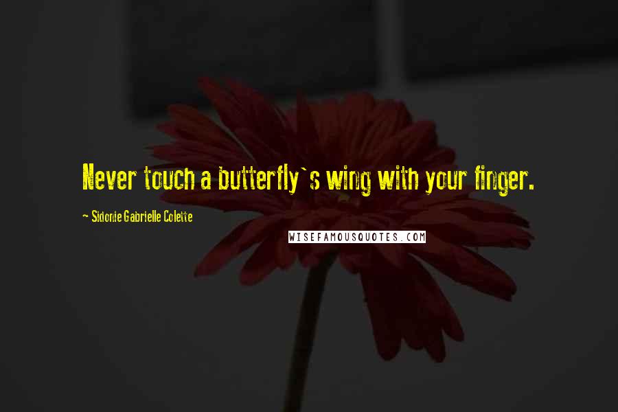 Sidonie Gabrielle Colette Quotes: Never touch a butterfly's wing with your finger.