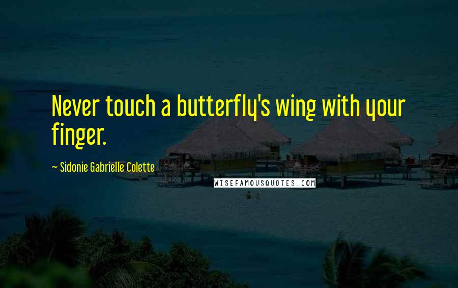 Sidonie Gabrielle Colette Quotes: Never touch a butterfly's wing with your finger.