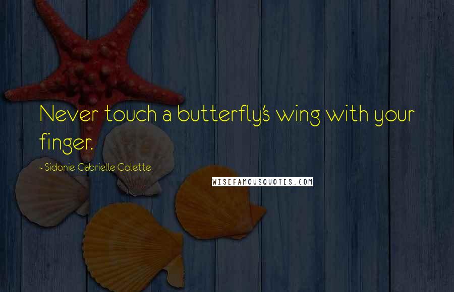 Sidonie Gabrielle Colette Quotes: Never touch a butterfly's wing with your finger.