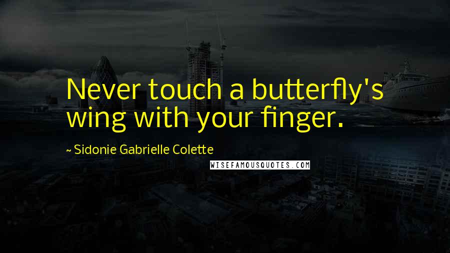 Sidonie Gabrielle Colette Quotes: Never touch a butterfly's wing with your finger.