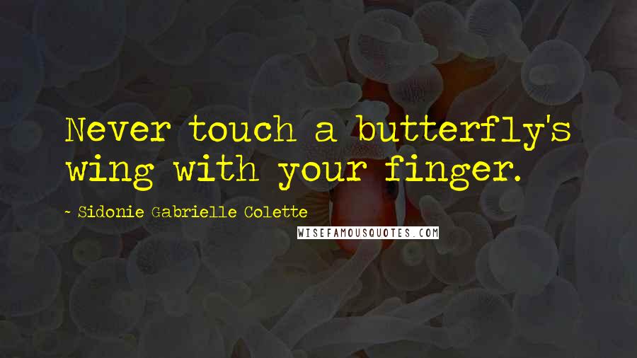 Sidonie Gabrielle Colette Quotes: Never touch a butterfly's wing with your finger.