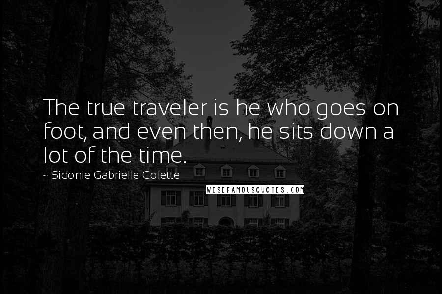 Sidonie Gabrielle Colette Quotes: The true traveler is he who goes on foot, and even then, he sits down a lot of the time.