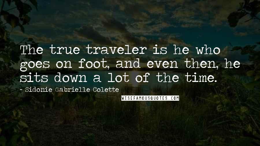 Sidonie Gabrielle Colette Quotes: The true traveler is he who goes on foot, and even then, he sits down a lot of the time.