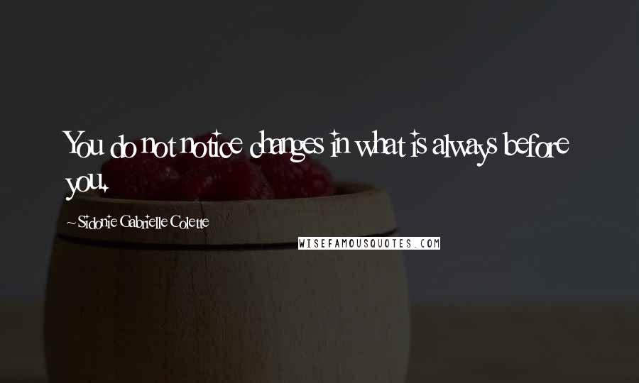 Sidonie Gabrielle Colette Quotes: You do not notice changes in what is always before you.