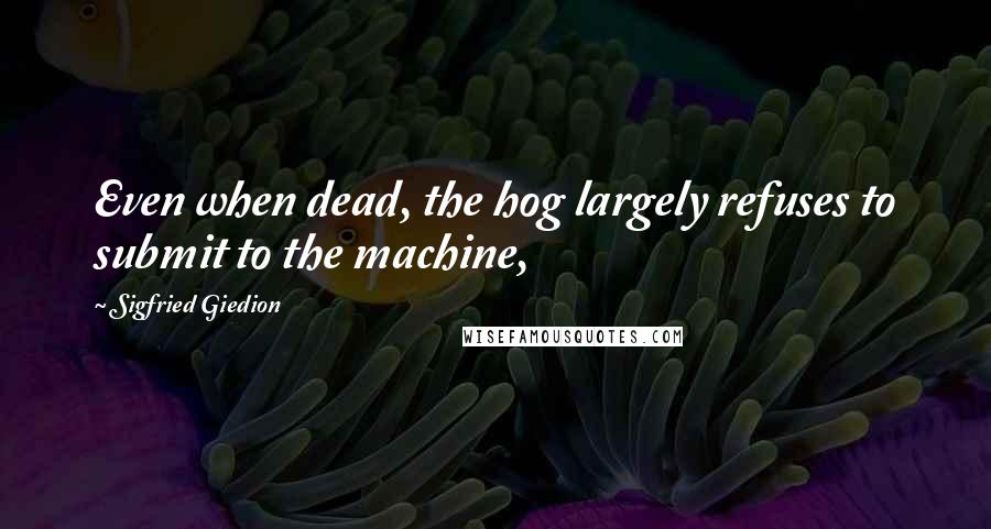 Sigfried Giedion Quotes: Even when dead, the hog largely refuses to submit to the machine,