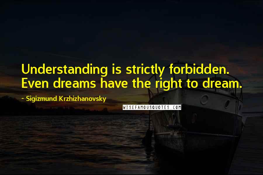 Sigizmund Krzhizhanovsky Quotes: Understanding is strictly forbidden. Even dreams have the right to dream.