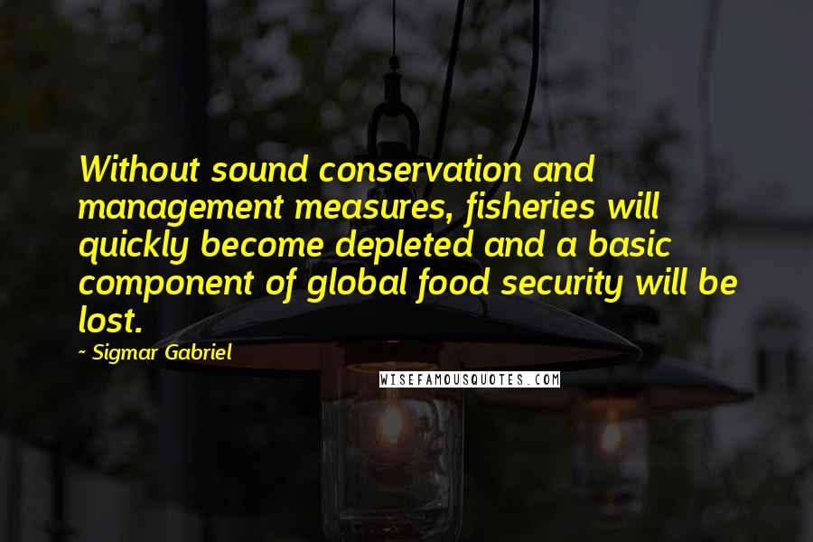 Sigmar Gabriel Quotes: Without sound conservation and management measures, fisheries will quickly become depleted and a basic component of global food security will be lost.