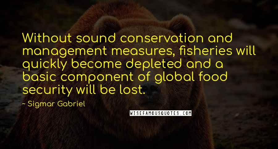 Sigmar Gabriel Quotes: Without sound conservation and management measures, fisheries will quickly become depleted and a basic component of global food security will be lost.