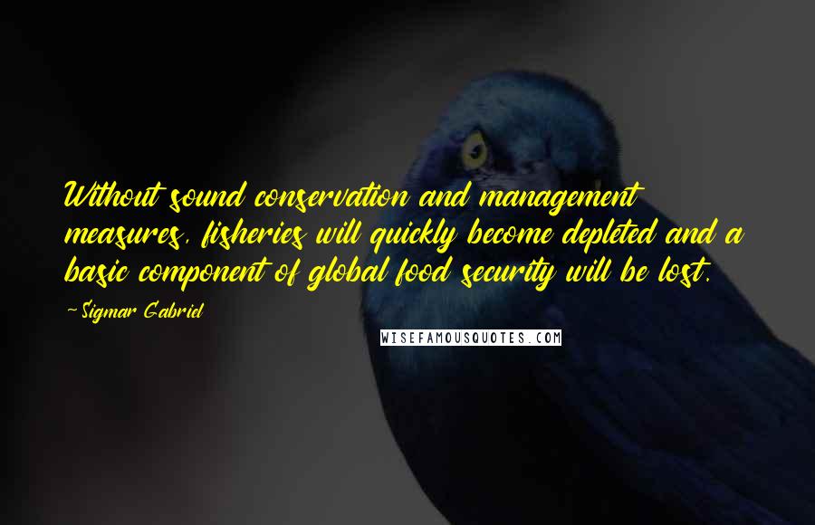 Sigmar Gabriel Quotes: Without sound conservation and management measures, fisheries will quickly become depleted and a basic component of global food security will be lost.