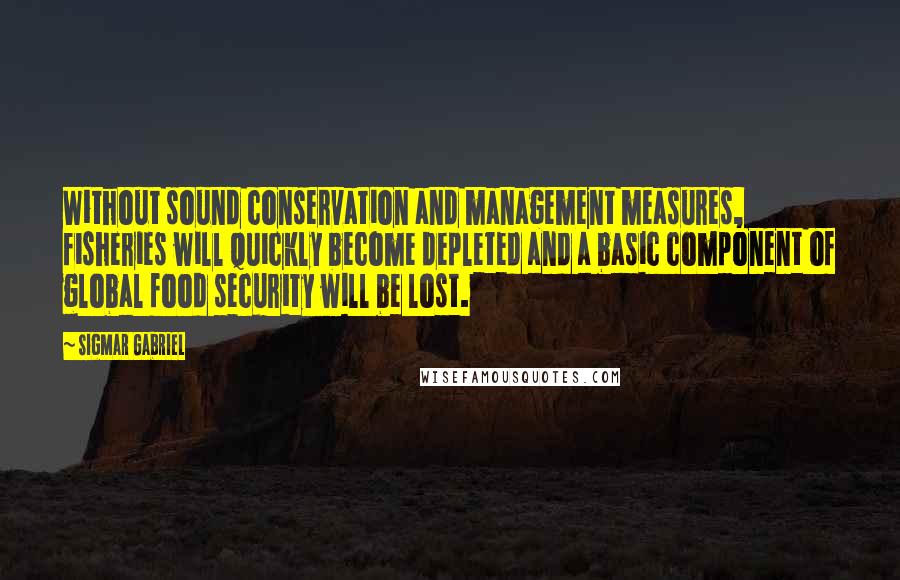 Sigmar Gabriel Quotes: Without sound conservation and management measures, fisheries will quickly become depleted and a basic component of global food security will be lost.