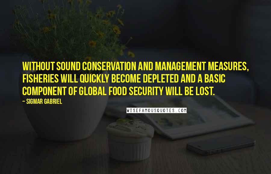 Sigmar Gabriel Quotes: Without sound conservation and management measures, fisheries will quickly become depleted and a basic component of global food security will be lost.