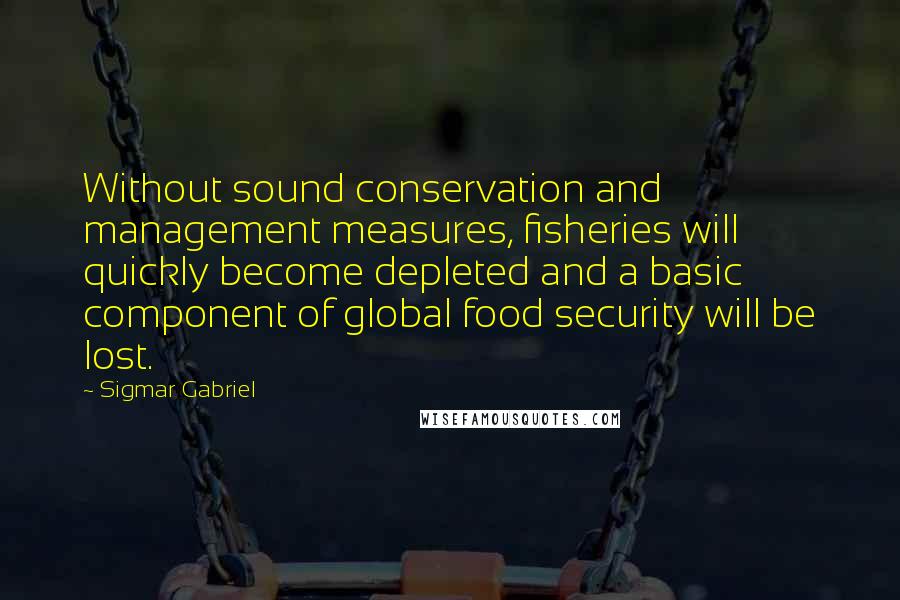 Sigmar Gabriel Quotes: Without sound conservation and management measures, fisheries will quickly become depleted and a basic component of global food security will be lost.