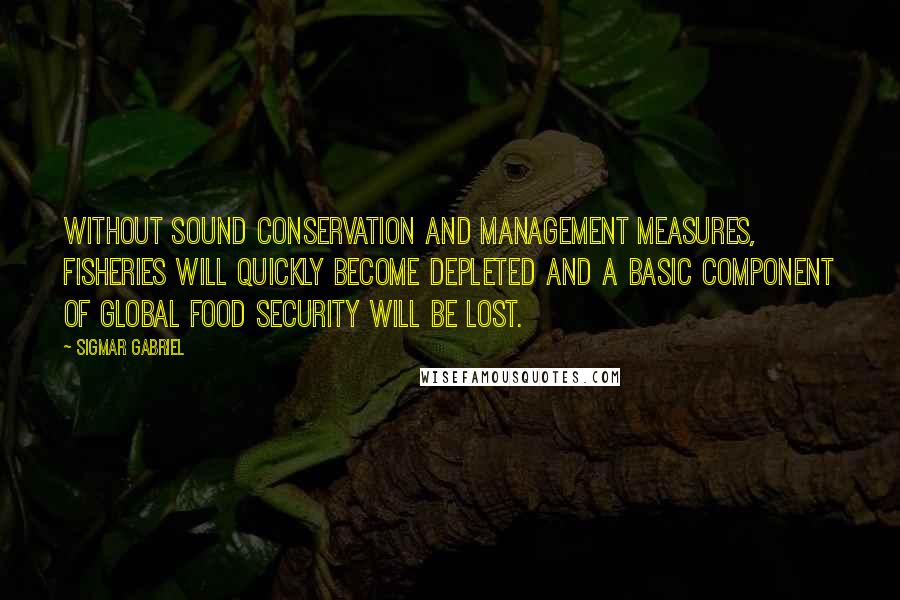 Sigmar Gabriel Quotes: Without sound conservation and management measures, fisheries will quickly become depleted and a basic component of global food security will be lost.