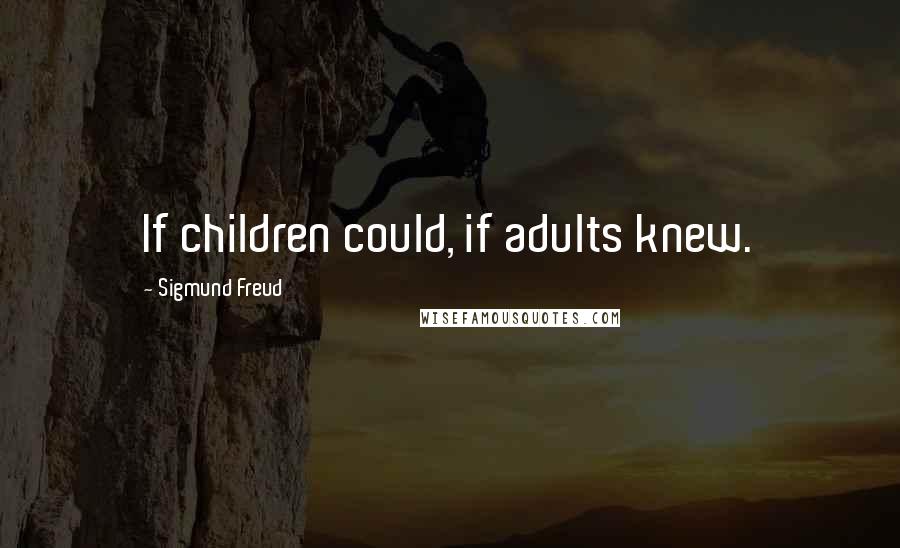 Sigmund Freud Quotes: If children could, if adults knew.