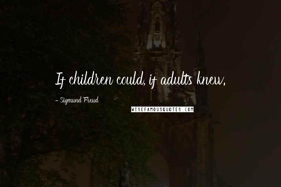 Sigmund Freud Quotes: If children could, if adults knew.