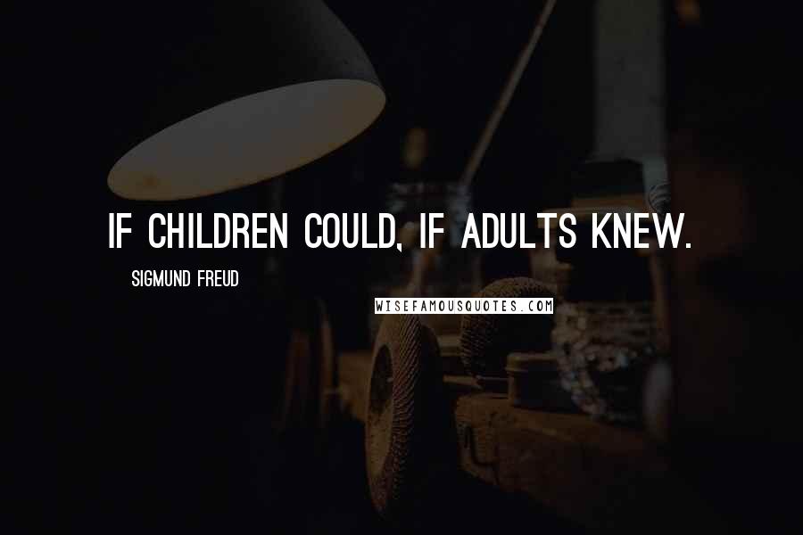 Sigmund Freud Quotes: If children could, if adults knew.