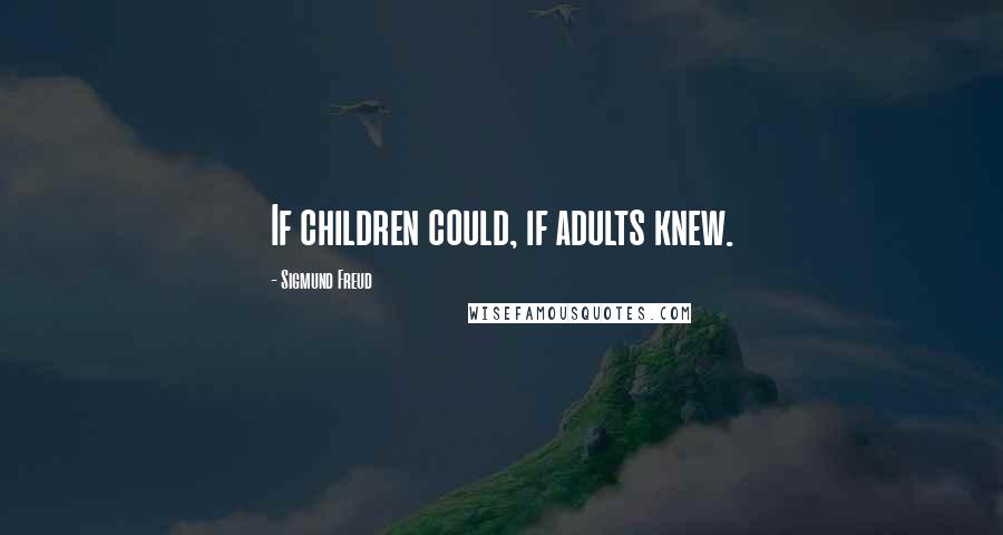 Sigmund Freud Quotes: If children could, if adults knew.