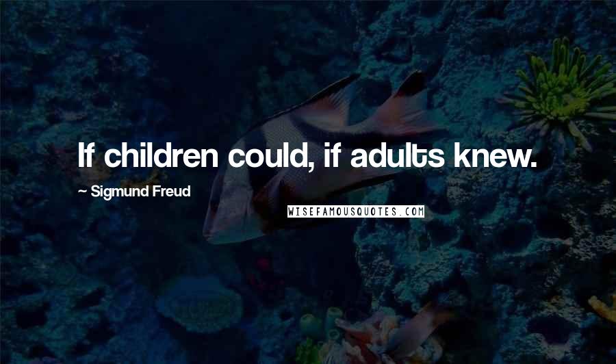 Sigmund Freud Quotes: If children could, if adults knew.