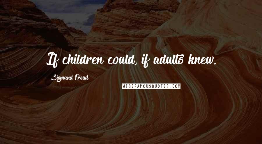 Sigmund Freud Quotes: If children could, if adults knew.