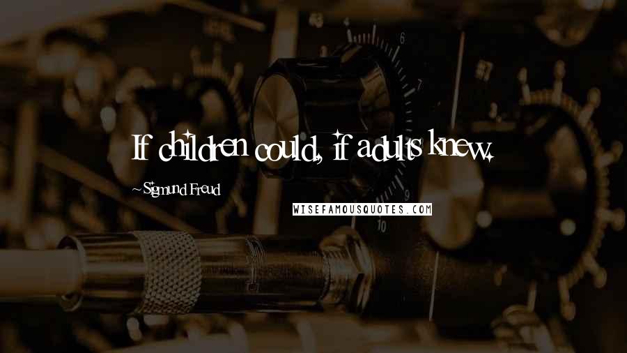 Sigmund Freud Quotes: If children could, if adults knew.