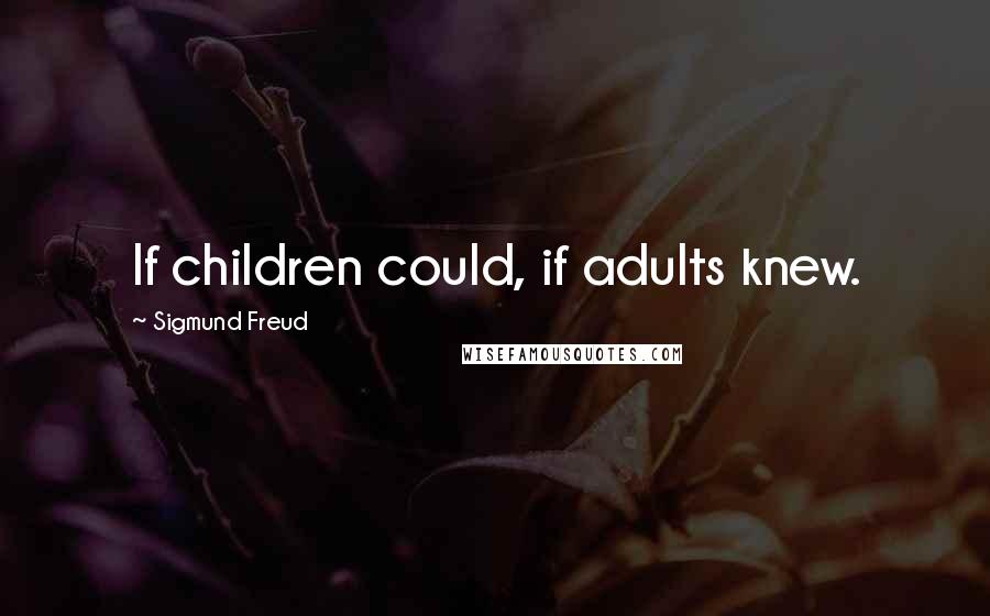 Sigmund Freud Quotes: If children could, if adults knew.