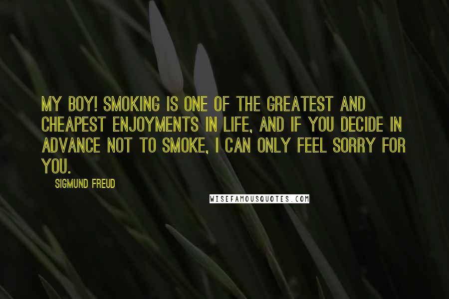 Sigmund Freud Quotes: My boy! Smoking is one of the greatest and cheapest enjoyments in life, and if you decide in advance not to smoke, i can only feel sorry for you.