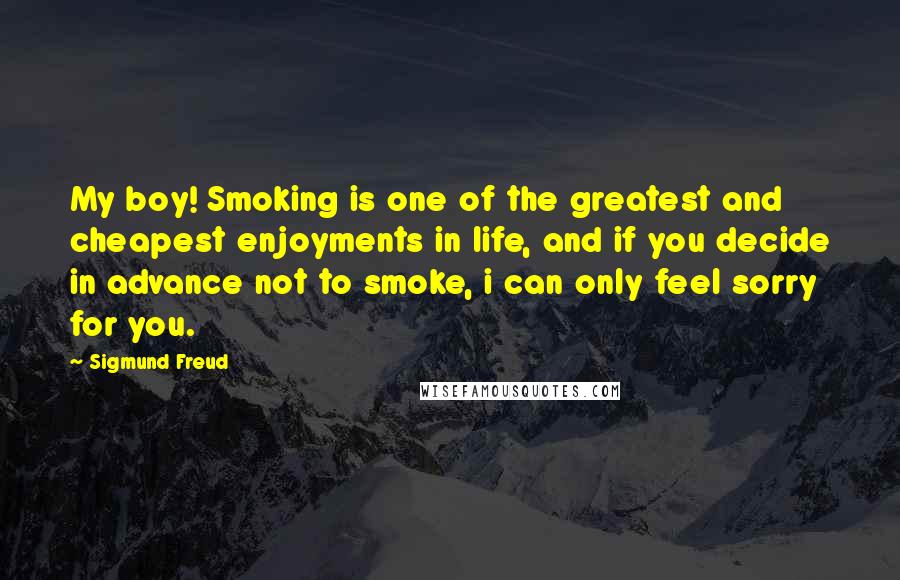 Sigmund Freud Quotes: My boy! Smoking is one of the greatest and cheapest enjoyments in life, and if you decide in advance not to smoke, i can only feel sorry for you.