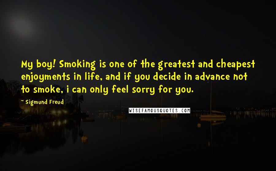 Sigmund Freud Quotes: My boy! Smoking is one of the greatest and cheapest enjoyments in life, and if you decide in advance not to smoke, i can only feel sorry for you.