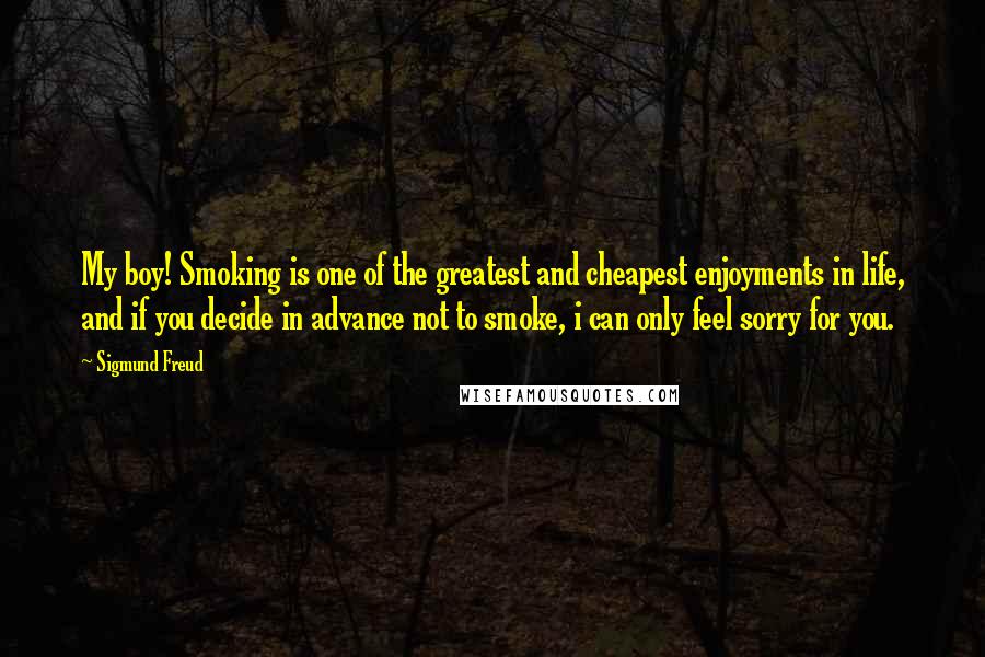 Sigmund Freud Quotes: My boy! Smoking is one of the greatest and cheapest enjoyments in life, and if you decide in advance not to smoke, i can only feel sorry for you.