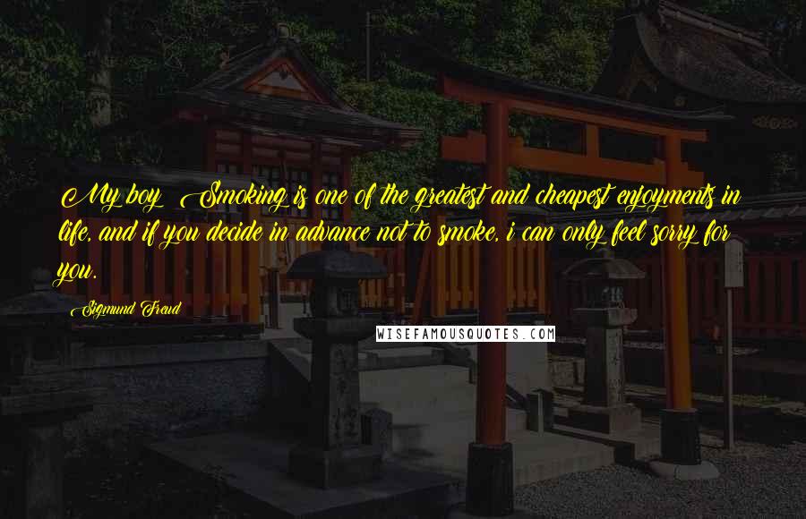 Sigmund Freud Quotes: My boy! Smoking is one of the greatest and cheapest enjoyments in life, and if you decide in advance not to smoke, i can only feel sorry for you.