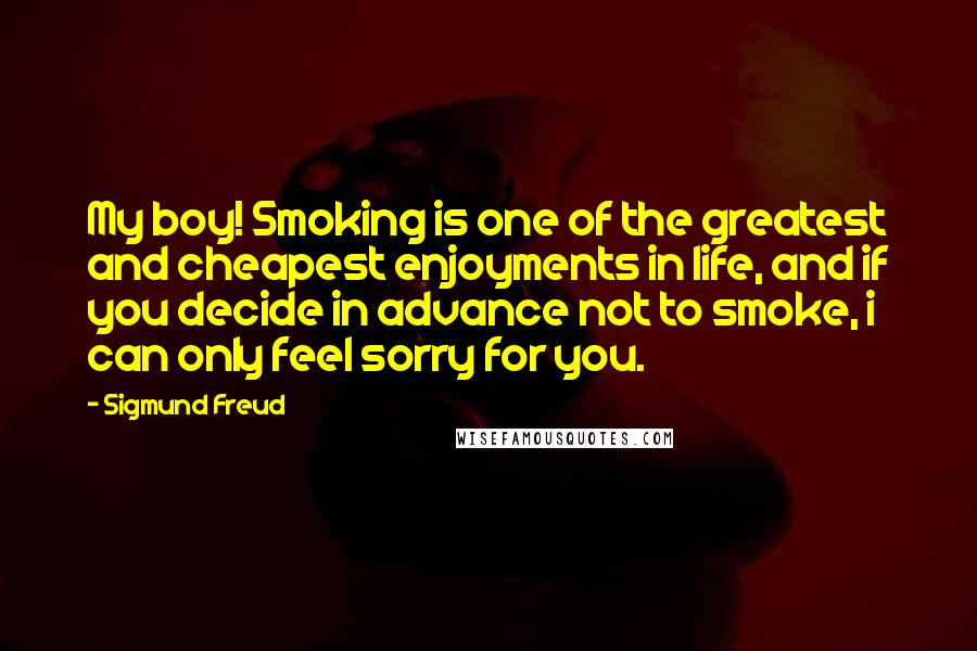 Sigmund Freud Quotes: My boy! Smoking is one of the greatest and cheapest enjoyments in life, and if you decide in advance not to smoke, i can only feel sorry for you.