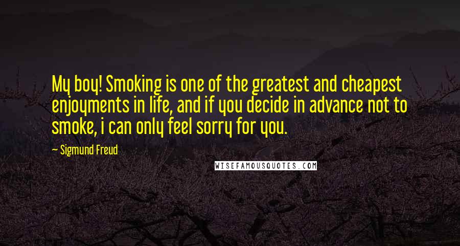 Sigmund Freud Quotes: My boy! Smoking is one of the greatest and cheapest enjoyments in life, and if you decide in advance not to smoke, i can only feel sorry for you.