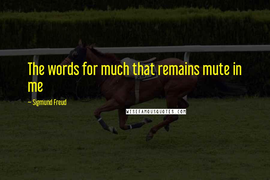 Sigmund Freud Quotes: The words for much that remains mute in me