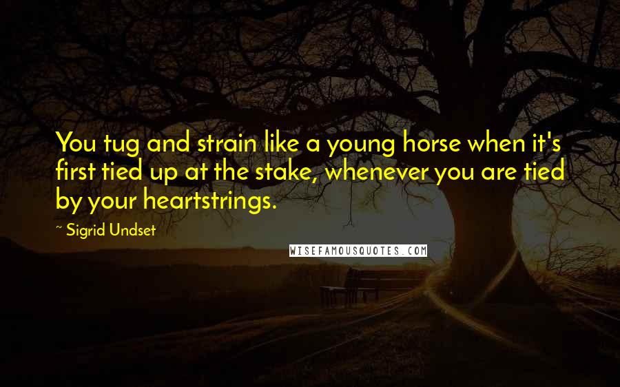 Sigrid Undset Quotes: You tug and strain like a young horse when it's first tied up at the stake, whenever you are tied by your heartstrings.