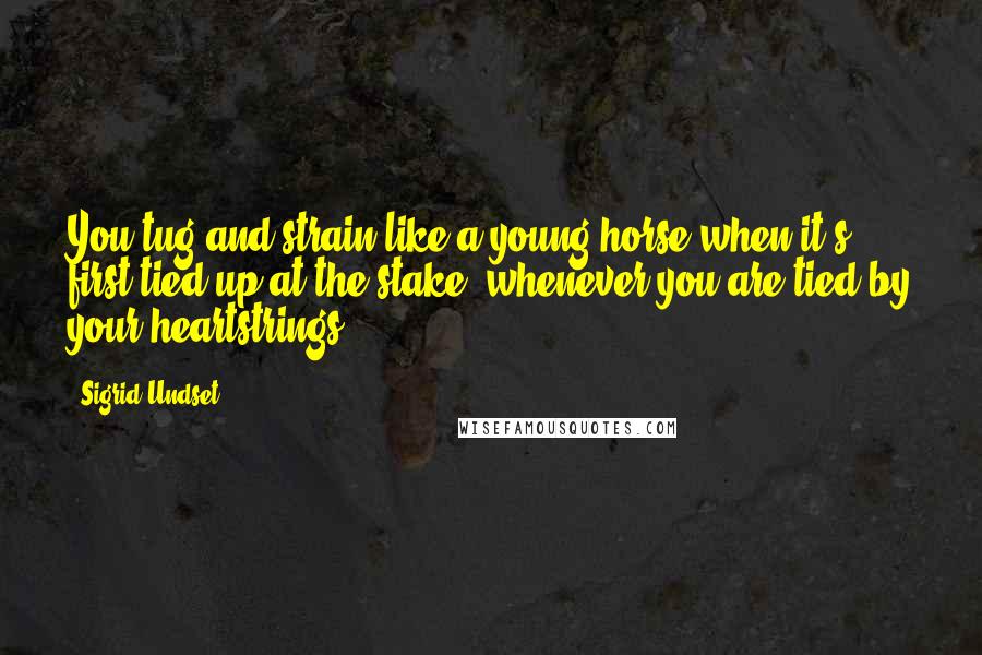 Sigrid Undset Quotes: You tug and strain like a young horse when it's first tied up at the stake, whenever you are tied by your heartstrings.