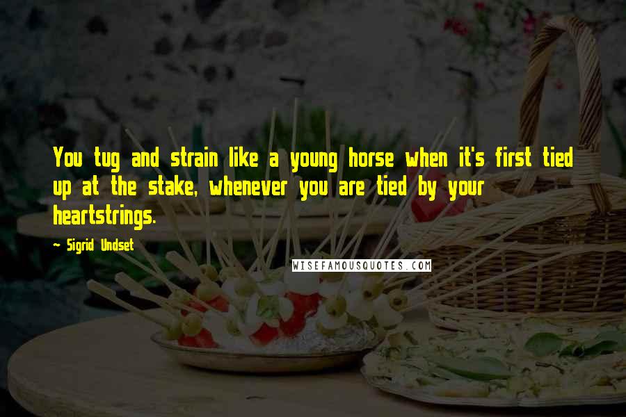 Sigrid Undset Quotes: You tug and strain like a young horse when it's first tied up at the stake, whenever you are tied by your heartstrings.