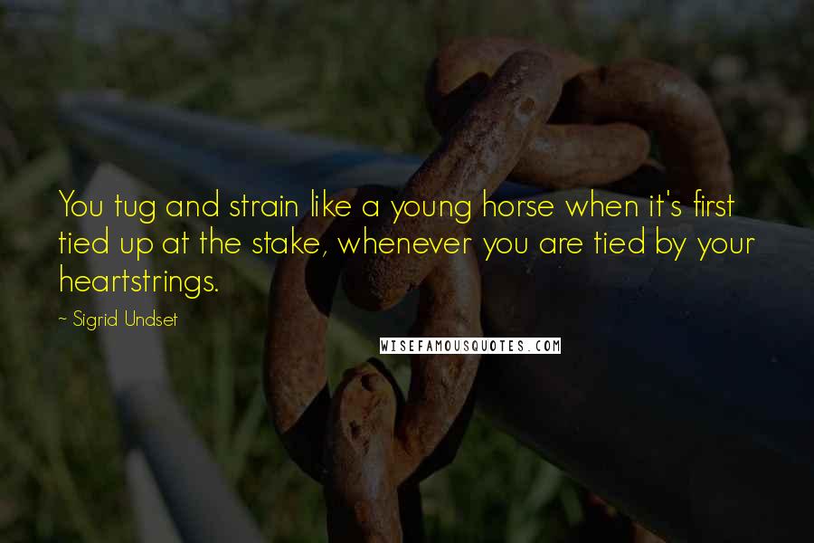 Sigrid Undset Quotes: You tug and strain like a young horse when it's first tied up at the stake, whenever you are tied by your heartstrings.