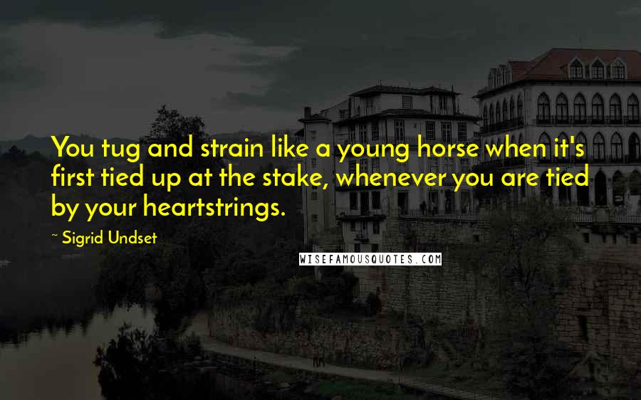 Sigrid Undset Quotes: You tug and strain like a young horse when it's first tied up at the stake, whenever you are tied by your heartstrings.