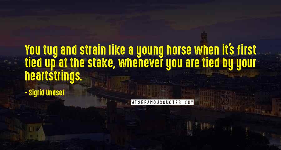 Sigrid Undset Quotes: You tug and strain like a young horse when it's first tied up at the stake, whenever you are tied by your heartstrings.