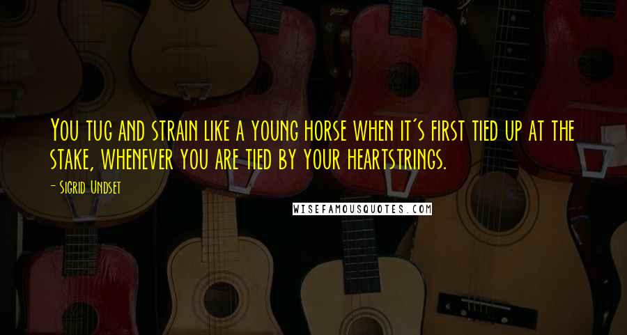 Sigrid Undset Quotes: You tug and strain like a young horse when it's first tied up at the stake, whenever you are tied by your heartstrings.