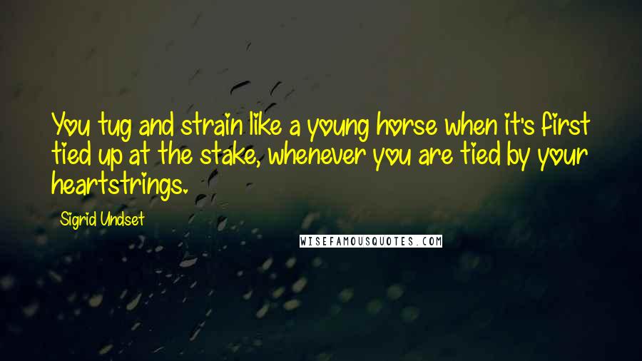 Sigrid Undset Quotes: You tug and strain like a young horse when it's first tied up at the stake, whenever you are tied by your heartstrings.