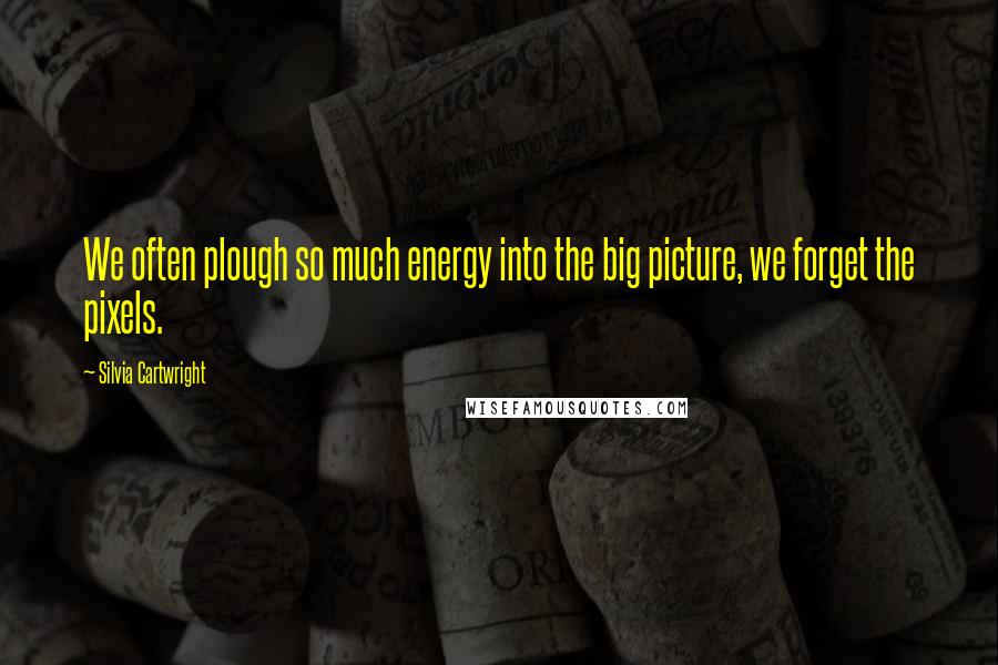 Silvia Cartwright Quotes: We often plough so much energy into the big picture, we forget the pixels.