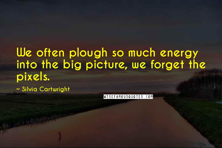 Silvia Cartwright Quotes: We often plough so much energy into the big picture, we forget the pixels.