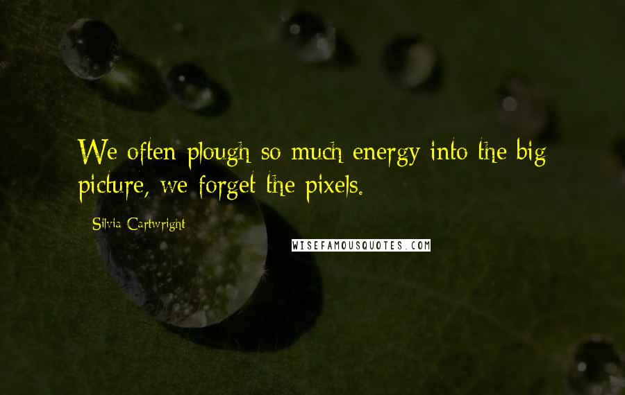 Silvia Cartwright Quotes: We often plough so much energy into the big picture, we forget the pixels.