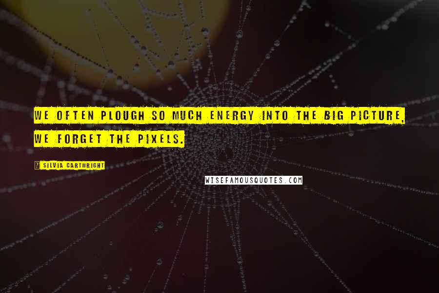 Silvia Cartwright Quotes: We often plough so much energy into the big picture, we forget the pixels.