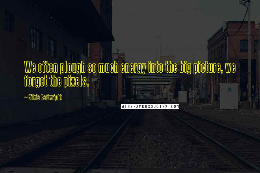 Silvia Cartwright Quotes: We often plough so much energy into the big picture, we forget the pixels.