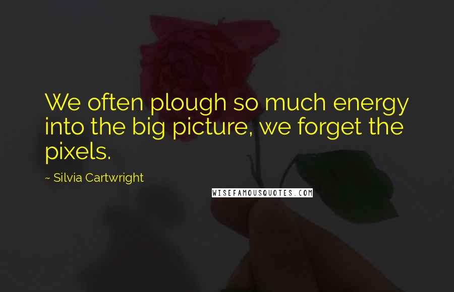 Silvia Cartwright Quotes: We often plough so much energy into the big picture, we forget the pixels.